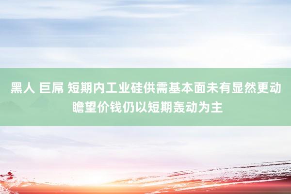 黑人 巨屌 短期内工业硅供需基本面未有显然更动 瞻望价钱仍以短期轰动为主