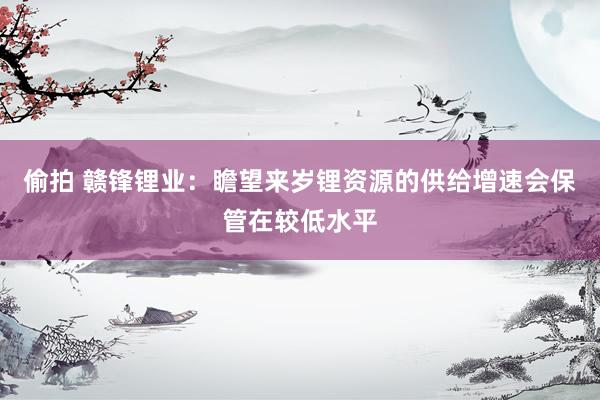 偷拍 赣锋锂业：瞻望来岁锂资源的供给增速会保管在较低水平