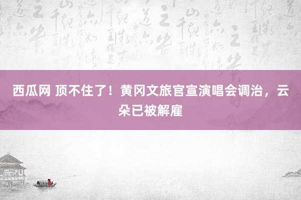 西瓜网 顶不住了！黄冈文旅官宣演唱会调治，云朵已被解雇