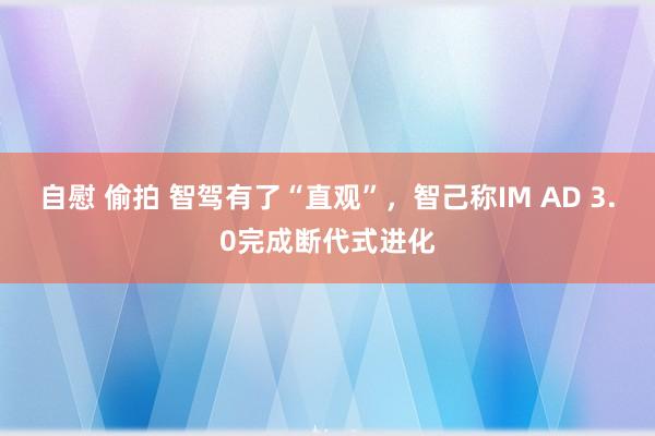 自慰 偷拍 智驾有了“直观”，智己称IM AD 3.0完成断代式进化