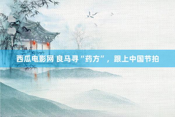 西瓜电影网 良马寻“药方”，跟上中国节拍