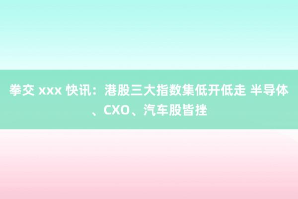 拳交 xxx 快讯：港股三大指数集低开低走 半导体、CXO、汽车股皆挫