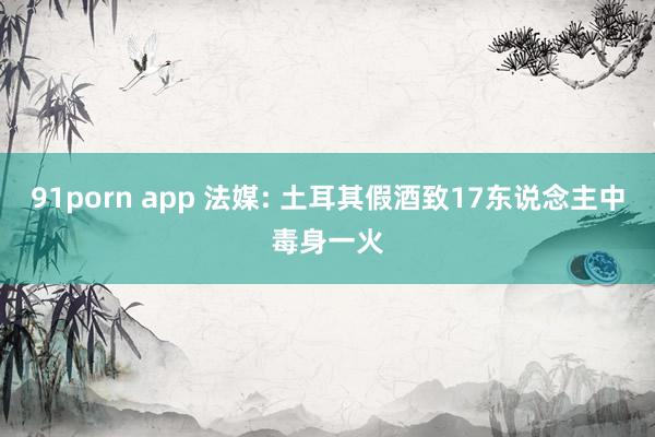 91porn app 法媒: 土耳其假酒致17东说念主中毒身一火