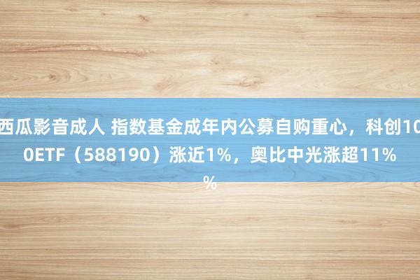 西瓜影音成人 指数基金成年内公募自购重心，科创100ETF（588190）涨近1%，奥比中光涨超11%