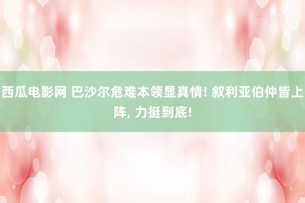 西瓜电影网 巴沙尔危难本领显真情! 叙利亚伯仲皆上阵， 力挺到底!