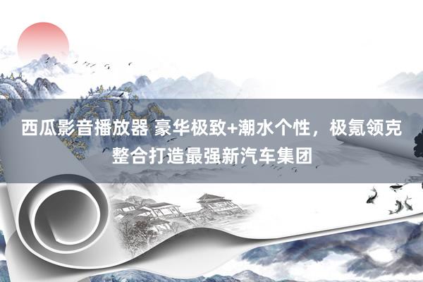 西瓜影音播放器 豪华极致+潮水个性，极氪领克整合打造最强新汽车集团