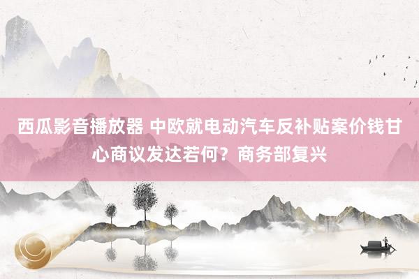 西瓜影音播放器 中欧就电动汽车反补贴案价钱甘心商议发达若何？商务部复兴