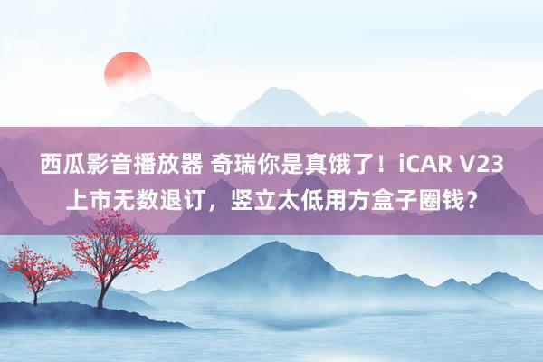 西瓜影音播放器 奇瑞你是真饿了！iCAR V23上市无数退订，竖立太低用方盒子圈钱？