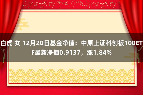 白虎 女 12月20日基金净值：中原上证科创板100ETF最新净值0.9137，涨1.84%
