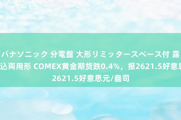 パナソニック 分電盤 大形リミッタースペース付 露出・半埋込両用形 COMEX黄金期货跌0.4%，报2621.5好意思元/盎司