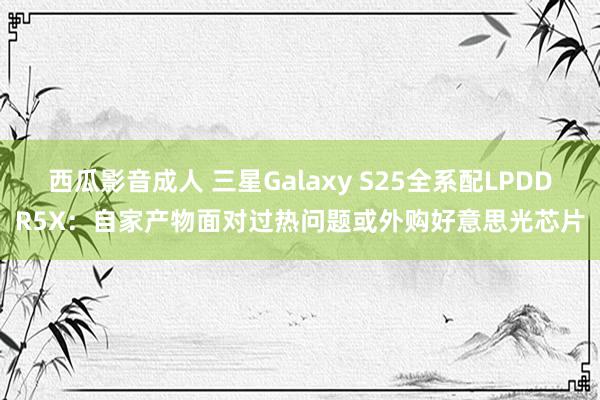 西瓜影音成人 三星Galaxy S25全系配LPDDR5X：自家产物面对过热问题或外购好意思光芯片
