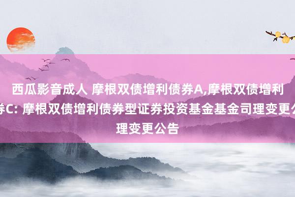 西瓜影音成人 摩根双债增利债券A,摩根双债增利债券C: 摩根双债增利债券型证券投资基金基金司理变更公告