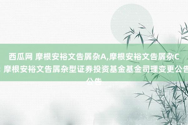 西瓜网 摩根安裕文告羼杂A,摩根安裕文告羼杂C: 摩根安裕文告羼杂型证券投资基金基金司理变更公告