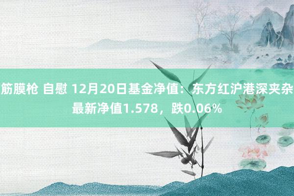 筋膜枪 自慰 12月20日基金净值：东方红沪港深夹杂最新净值1.578，跌0.06%