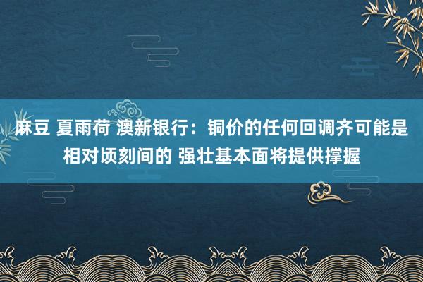麻豆 夏雨荷 澳新银行：铜价的任何回调齐可能是相对顷刻间的 强壮基本面将提供撑握