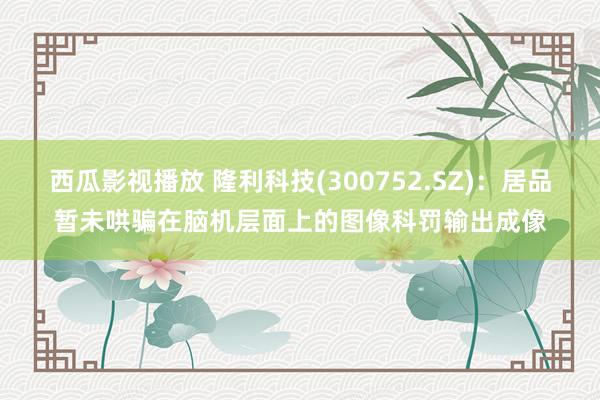 西瓜影视播放 隆利科技(300752.SZ)：居品暂未哄骗在脑机层面上的图像科罚输出成像