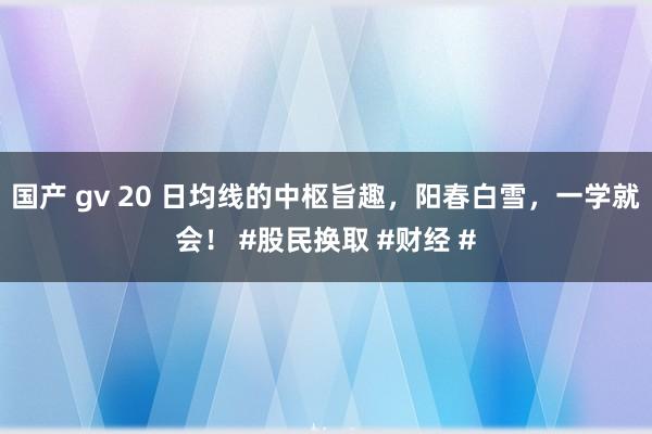国产 gv 20 日均线的中枢旨趣，阳春白雪，一学就会！ #股民换取 #财经 #