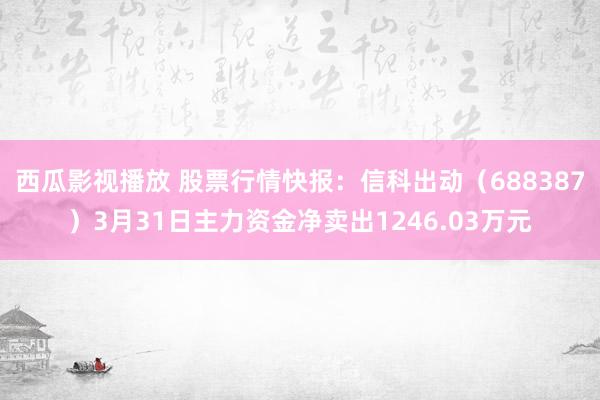 西瓜影视播放 股票行情快报：信科出动（688387）3月31日主力资金净卖出1246.03万元