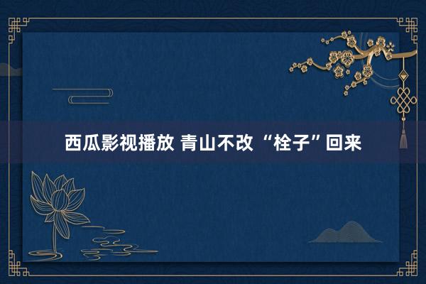 西瓜影视播放 青山不改 “栓子”回来