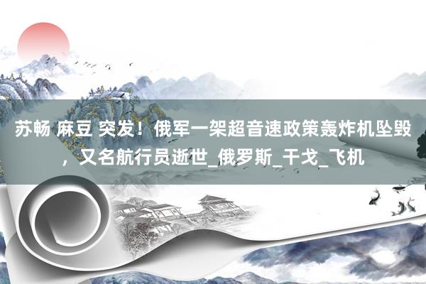 苏畅 麻豆 突发！俄军一架超音速政策轰炸机坠毁，又名航行员逝世_俄罗斯_干戈_飞机