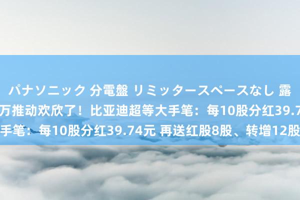 パナソニック 分電盤 リミッタースペースなし 露出・半埋込両用形 20万推动欢欣了！比亚迪超等大手笔：每10股分红39.74元 再送红股8股、转增12股