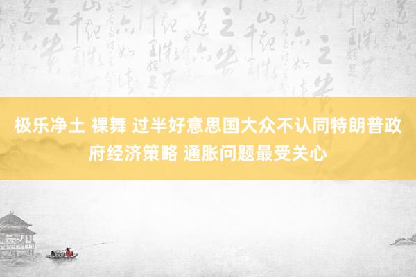 极乐净土 裸舞 过半好意思国大众不认同特朗普政府经济策略 通胀问题最受关心