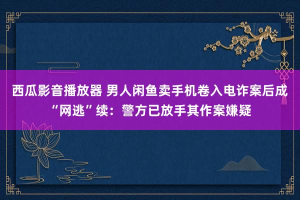 西瓜影音播放器 男人闲鱼卖手机卷入电诈案后成“网逃”续：警方已放手其作案嫌疑