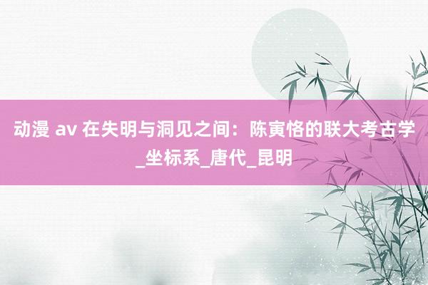 动漫 av 在失明与洞见之间：陈寅恪的联大考古学_坐标系_唐代_昆明