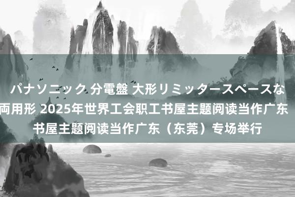 パナソニック 分電盤 大形リミッタースペースなし 露出・半埋込両用形 2025年世界工会职工书屋主题阅读当作广东（东莞）专场举行