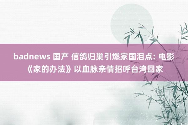 badnews 国产 信鸽归巢引燃家国泪点: 电影《家的办法》以血脉亲情招呼台湾回家