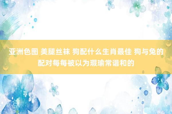 亚洲色图 美腿丝袜 狗配什么生肖最佳 狗与兔的配对每每被以为瑕瑜常谐和的
