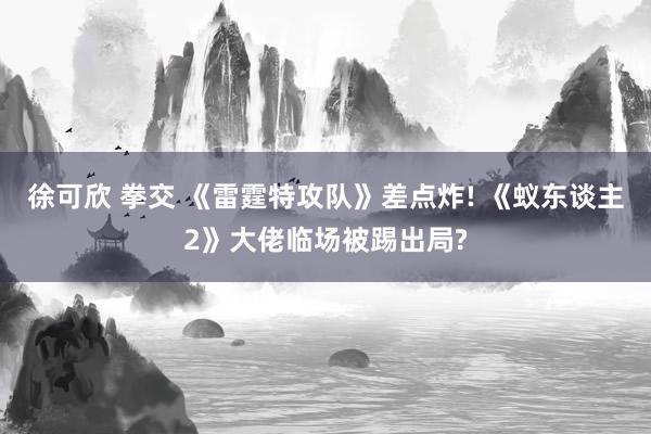 徐可欣 拳交 《雷霆特攻队》差点炸! 《蚁东谈主2》大佬临场被踢出局?